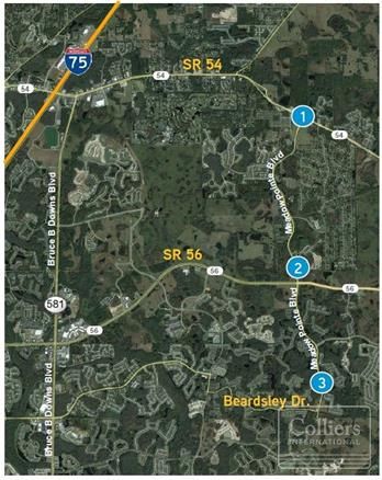 Wesley Chapel Lakes : 33544 Wesley Chapel Boulevard, Wesley Chapel, FL 33544